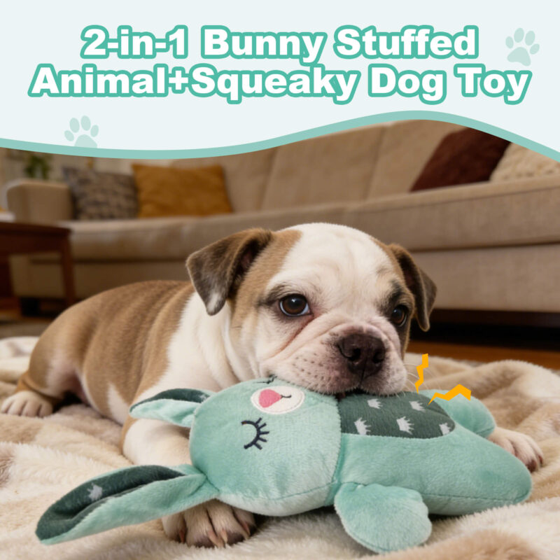 Soft Squeaky Bunny Dog Toy – Sage Green Crown Print Sleeping Plush Companion Toy for Small & Medium Dogs