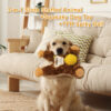 2 3-in-1 Orangutan Plush Squeaky Dog Toy with Spiky Ball OEM