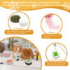 3 5-Pack Plush Sushi Cat Toys Set with Catnip & Bell – Interactive Plush Kitten Teething Toys with Lanyard & Feather for I