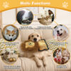 Durable Edge Lion Dog Toy Wholesale - Heavy Duty Plush Toy with Mane & Squeaker