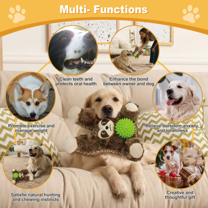 3-in-1 Sloth Plush Squeaky Dog Toy with Spiky Ball OEM
