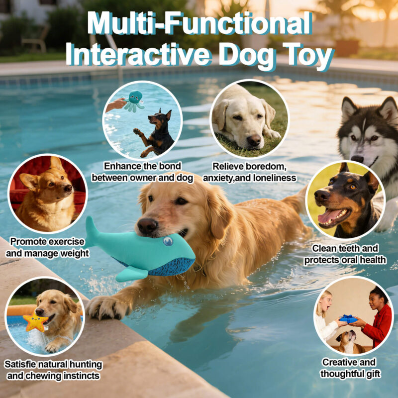 3-Pack Floating Squeaky Dog Water Toys Set – Durable 3D Mesh Ocean Animal Plush Toys (Whale, Octopus, Starfish) for Pool & Lake Fetch