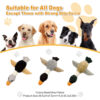 5 2-in-1 Squeaky Goose Plush Dog Toy with Teething Wings OEM