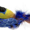 Cat_Bird_Suction_Spring_Feather_001 Interactive Window Suction Cup Catnip Bird Plush Cat Toy