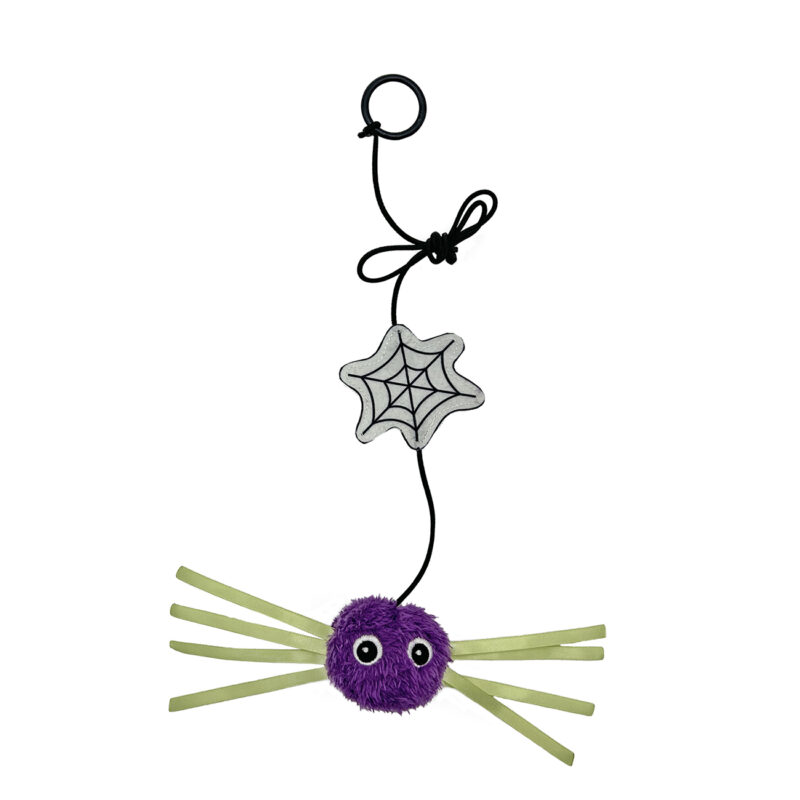Hanging Halloween Spider Cat Toy with Cobweb & Ribbon Legs